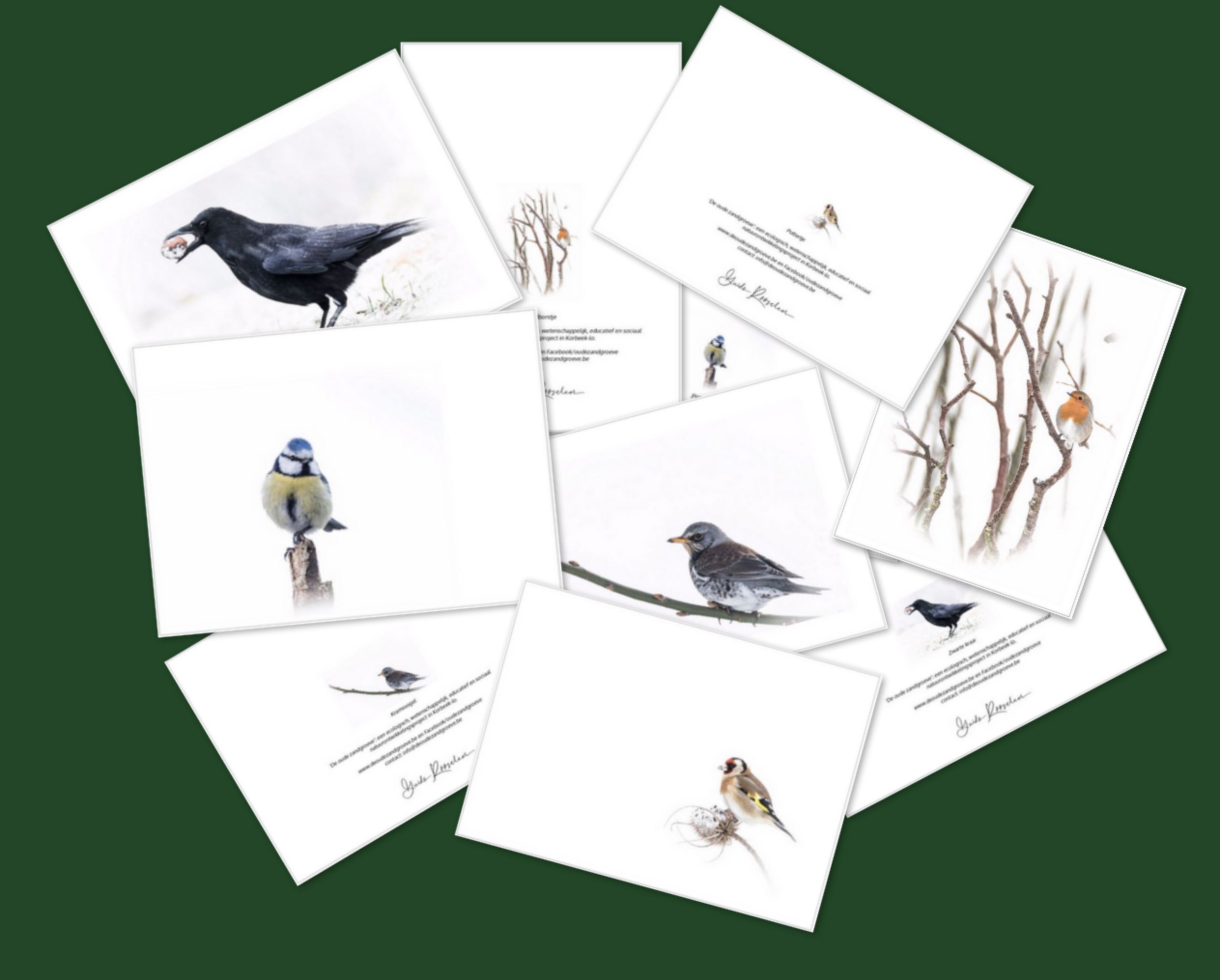 collage vogels